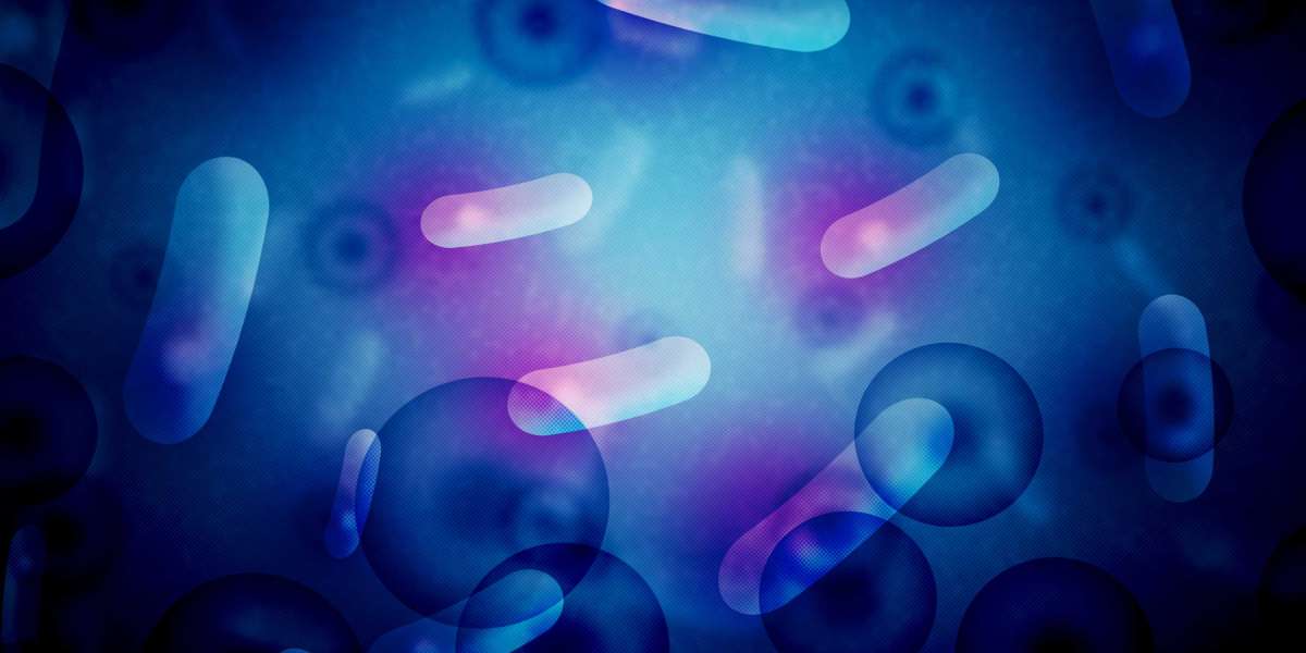 Respectable Sugar Daddy Sites: An In-Depth Analysis