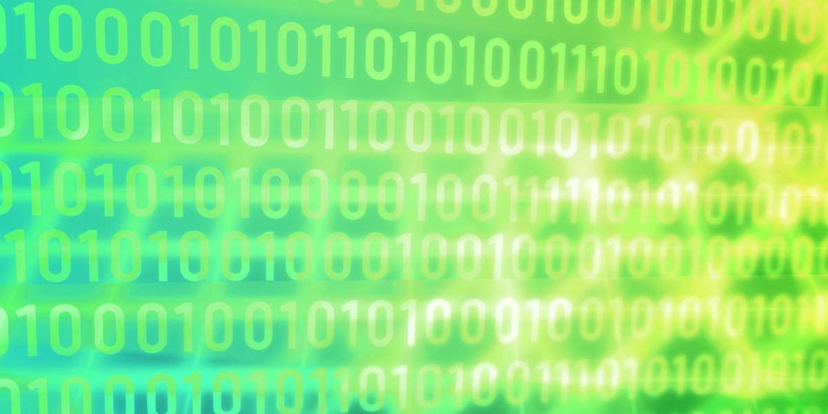 Sugar Daddy Websites In New Zealand: A Comprehensive Overview