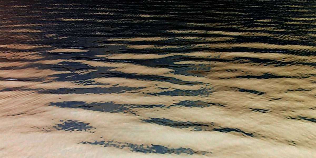 Instant Play Casinos Best No Download Sites 2025