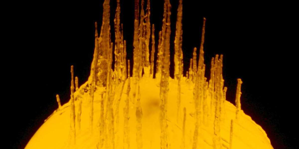 Brisbane Treasury Casino & Hotel review